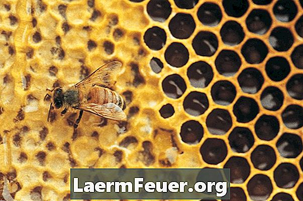Como fazer abelhas e colmeias de artesanato
