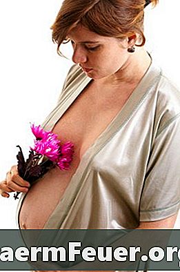 Sinais presumíveis, prováveis e positivos de gravidez