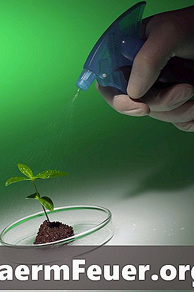 Waterstofperoxide om de plantengroei te stimuleren