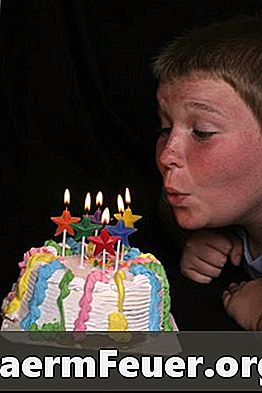 11 살 소년을위한 생일 파티 아이디어