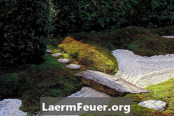 Idées pour décorer un jardin avec un chemin de pierre