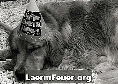 Pomysły na imprezy urodzinowe dla dzieci z motywami psów