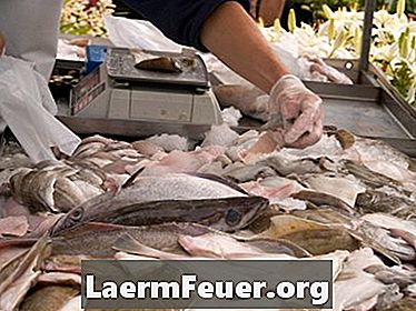 רעיונות עבור showcases ב fishmonger
