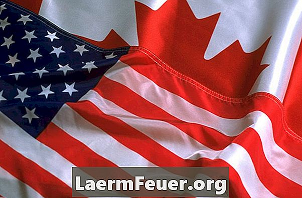 Influențe culturale din SUA și Canada