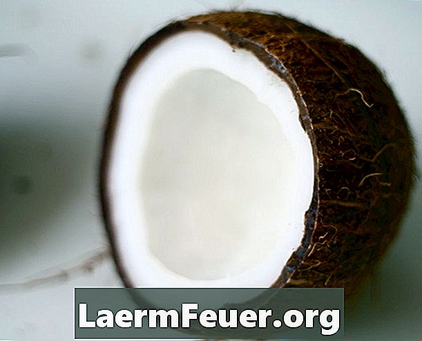 Raffiniertes Kokosnussöl gegenüber raffiniertem Kokosnussöl