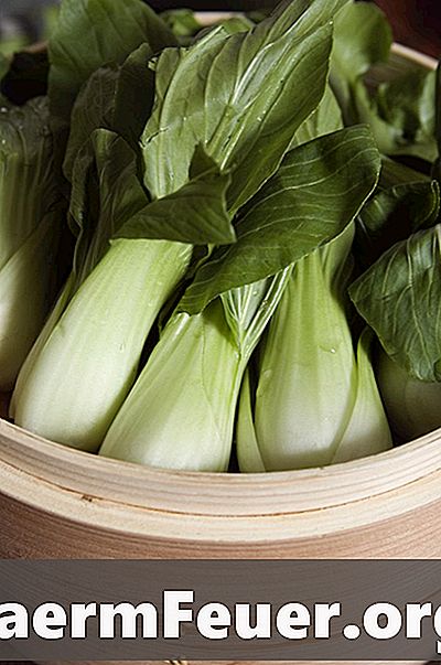 Liste over kinesiske løvgrønnsaker og grønnsaker
