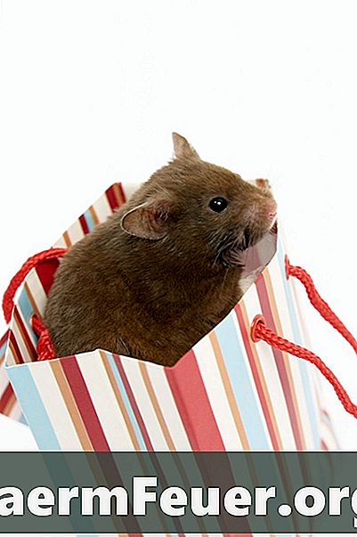 Bois recommandés pour les hamsters Roerem