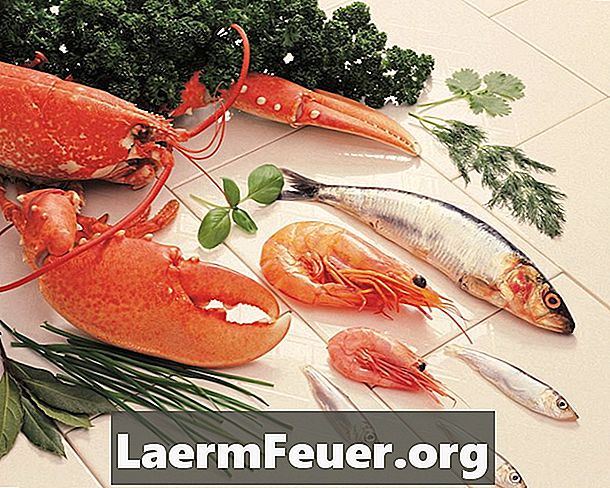 Mit eszik az édesvízi homár?