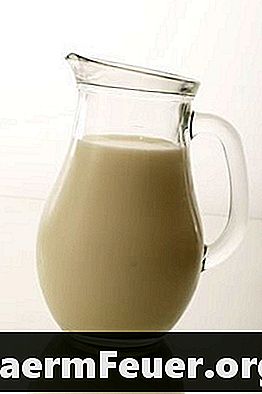 Hvad er Lactaid Milk?