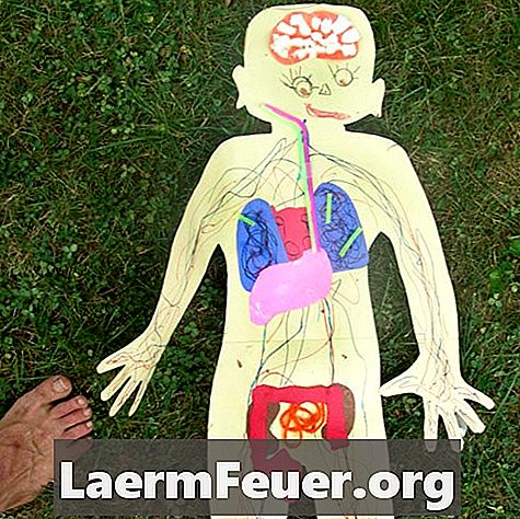 Quali sono i polmoni iperfiamma?