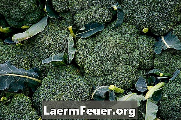 Broccoli miros în frigider