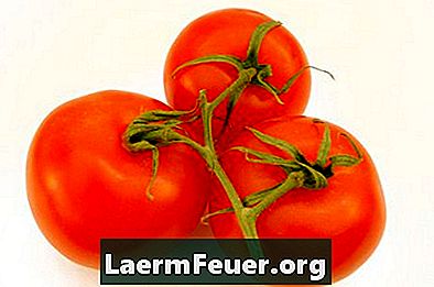 Planterar tomater i en 20-liters hink