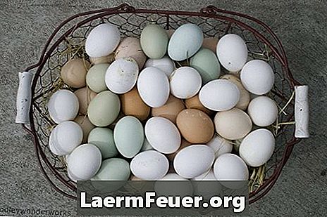 Combien de temps les œufs durs peuvent-ils rester en dehors du réfrigérateur?