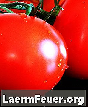 Varför torkar och tappar tomatblommor?