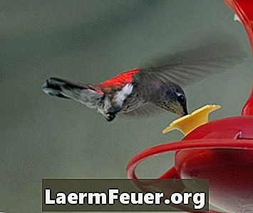 Waarom lekt mijn kolibrievoeder?
