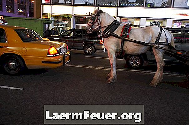 Varför använder hästar som drar vagnar halter?