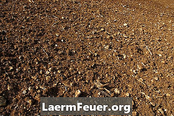 さまざまな種類の土壌中の豆の足を使った科学プロジェクト