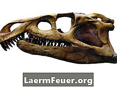 Који фосилни гмизавци су нађени у Јужној Америци и Африци?