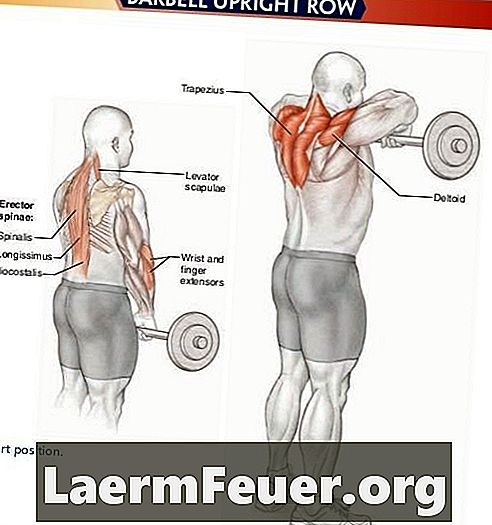 Welche Muskeln werden auf einem Laufband trainiert?