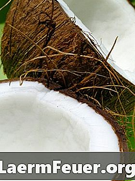 Які переваги капсули кокосового масла?