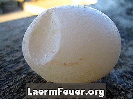 Millised keemilised reaktsioonid on seotud muna keetmisega?