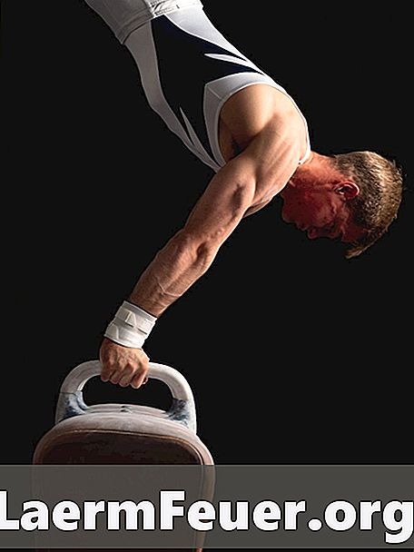 근육 섬유의 구성은 무엇입니까?
