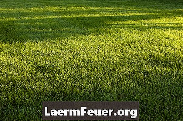 Hoeveel gras is er nodig per vierkante meter?
