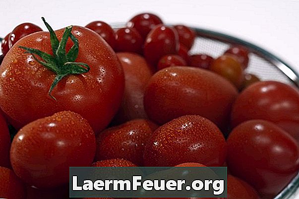 Mengden kalsiumnitrat per tomatplante