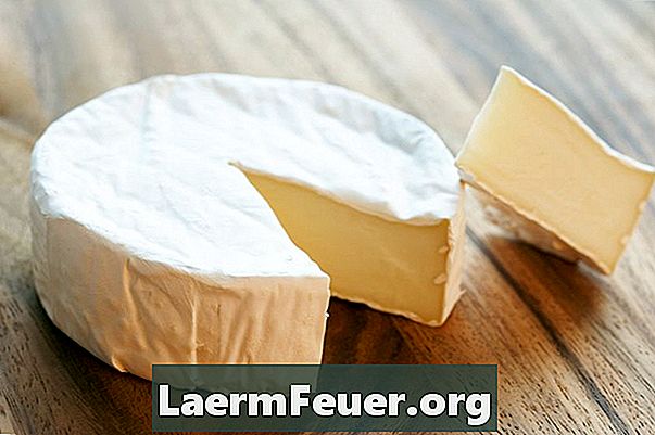 Rozdíly mezi sýry Camembert a Brie
