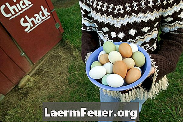 עוף גזעים: צבעים של ביצים