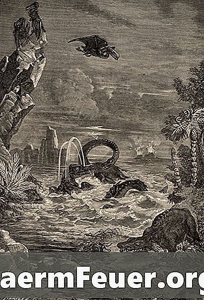 Anglikanske reptiler av øgler, slanger og krokodiller