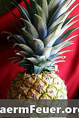 Symptom på ananasallergi
