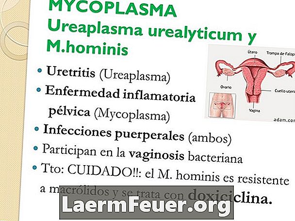 Sintomi di Mycoplasma Hominis