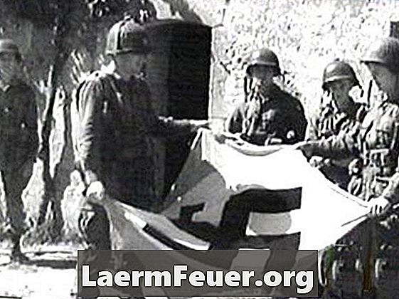 Despre steagul nazist