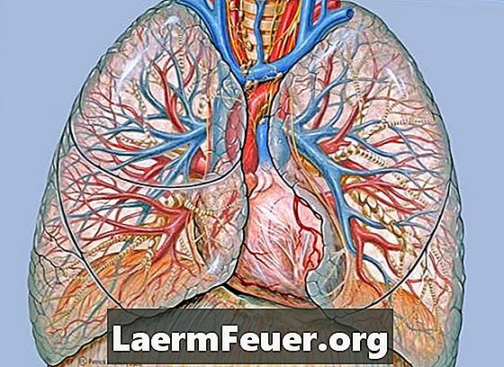 Sobre perfurações de pulmão (pneumotórax)