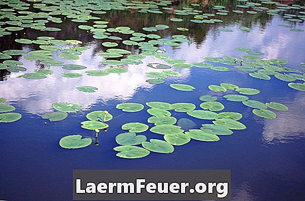 Bakrov sulfat za nadzor vodnih rastlin v ribnikih