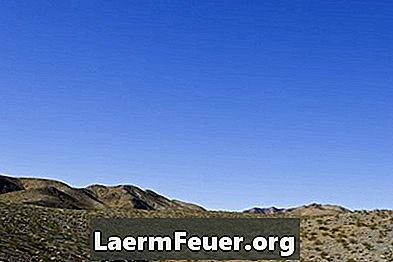 Tipuri de plante și animale în deșertul Mojave