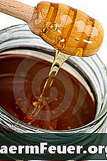 Utilisation de miel pour le traitement du cancer