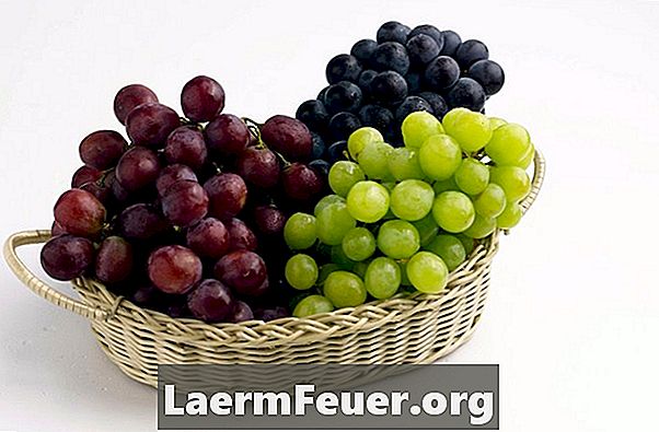 Вина: види винограду та їх характеристики