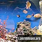 PVC-grottor för hemgjorda akvarier