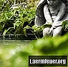كيفية إصلاح الشقوق في تمثال حديقة خرساني