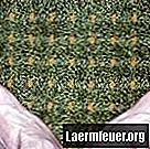Hoe een tapijt te bedekken