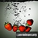 Hoe aardbeien groeien in een PVC-buis