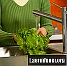 Kako držati gusjenice podalje od stopala salate