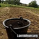 Wie man den Boden zum Pflanzen saurer macht
