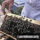 איך להמיס ולנקות שעוות דבורים