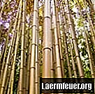 Come realizzare uno sgabello da bar con il bambù
