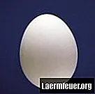 Kako ujeti jajo, ki jedo jajca