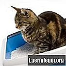 Hogyan lehet feloldani a lefolyót macskahomokkal