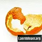 Hogyan kell használni a citrom- és narancshéjat a bolhák elpusztításához